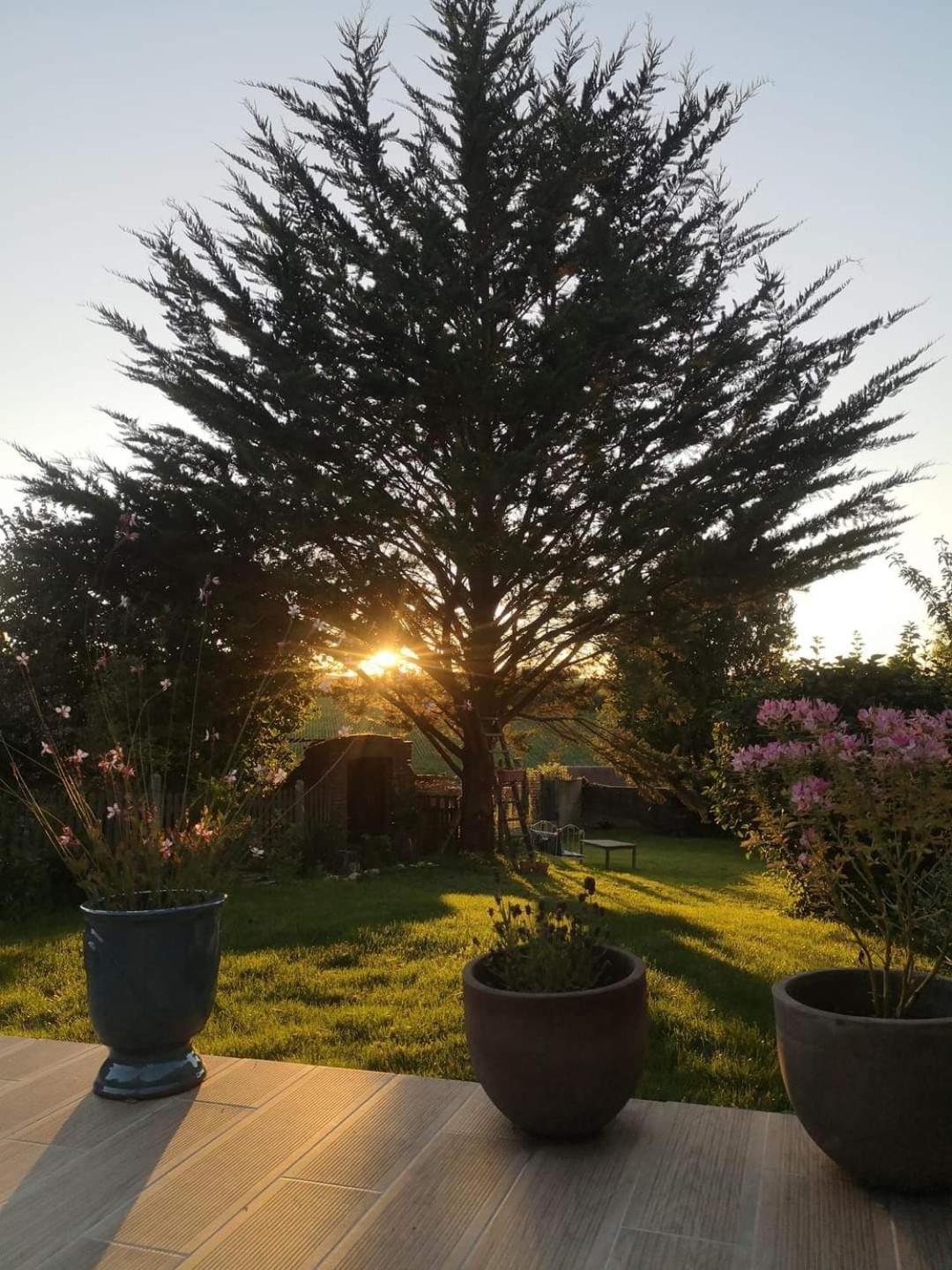 فيلا Au Coeur De Mortagne, Un Balcon Sur Le Perche المظهر الخارجي الصورة